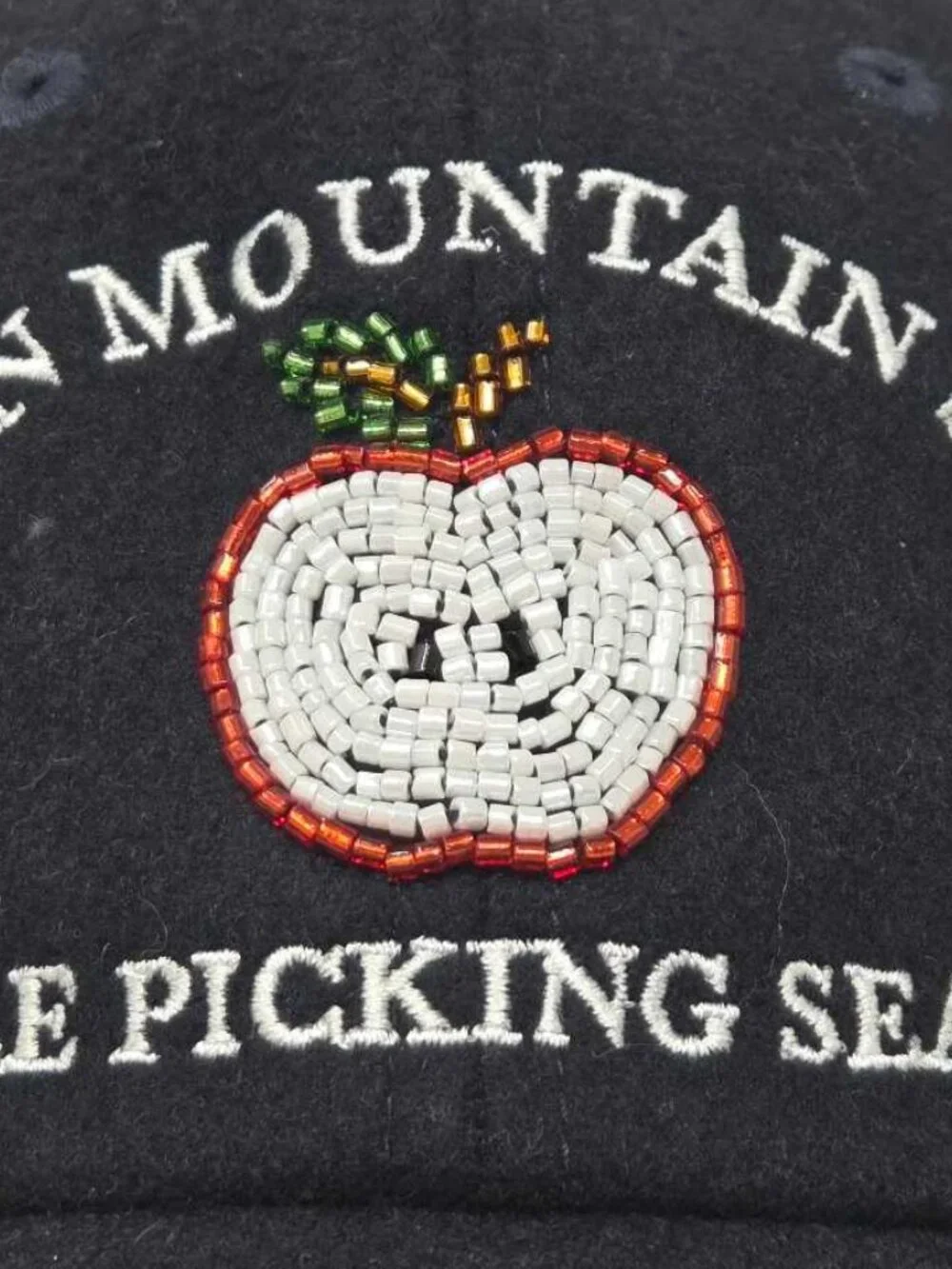 Anthropologie x Coney Island Picnic Apple Picking beaded fall icon baseball cap